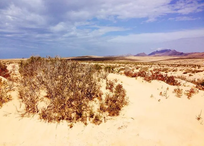 Sunny Terrace Apartament *